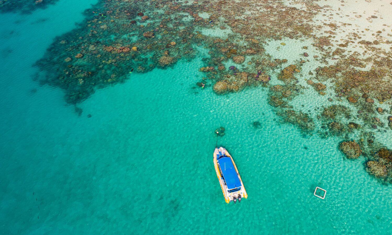 Find the Best Snorkeling in Isla Mujeres Mexico - 2024