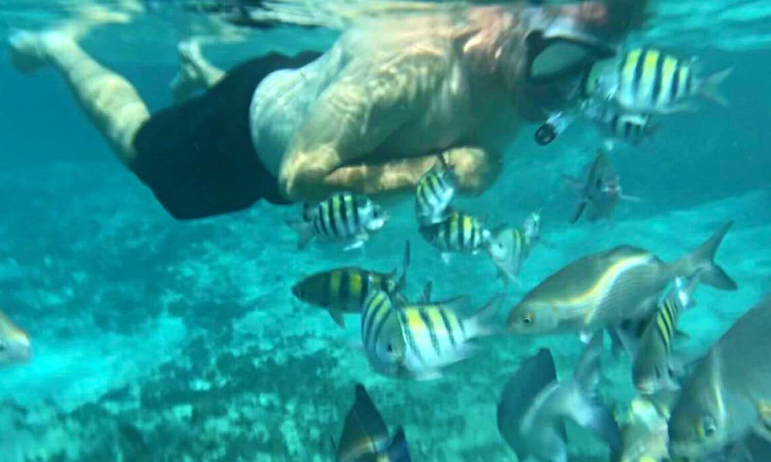 Jim snorkeling with reef fish at Cozumel