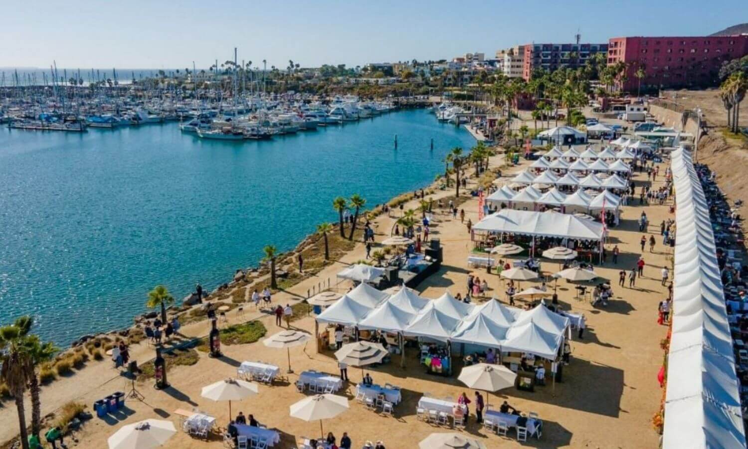 Areal view of the stalls set up by the ocean at the Festival de las Conchas y el Vino Nuevo in Ensenada
