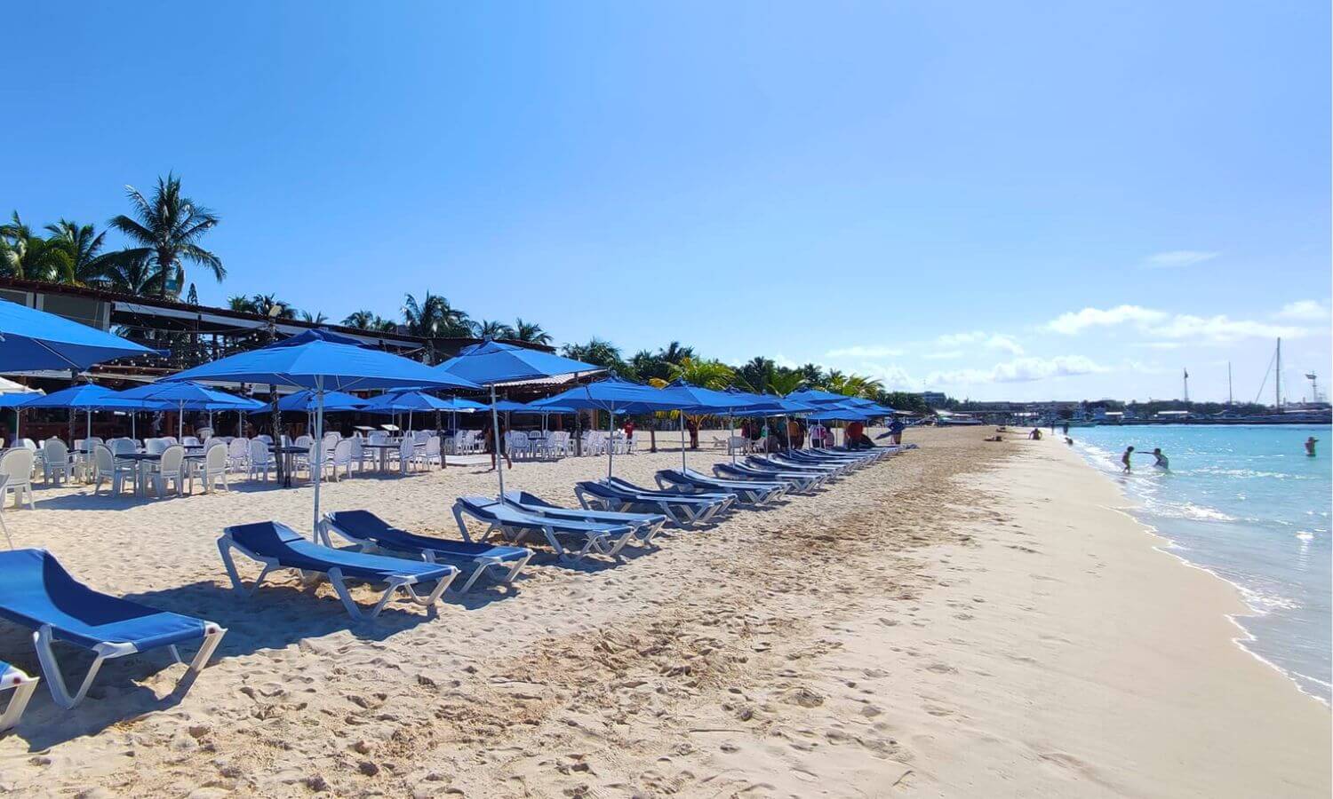 Sun loungers and umbrellas set up on a beach on Isla Mujeres ready for guests.