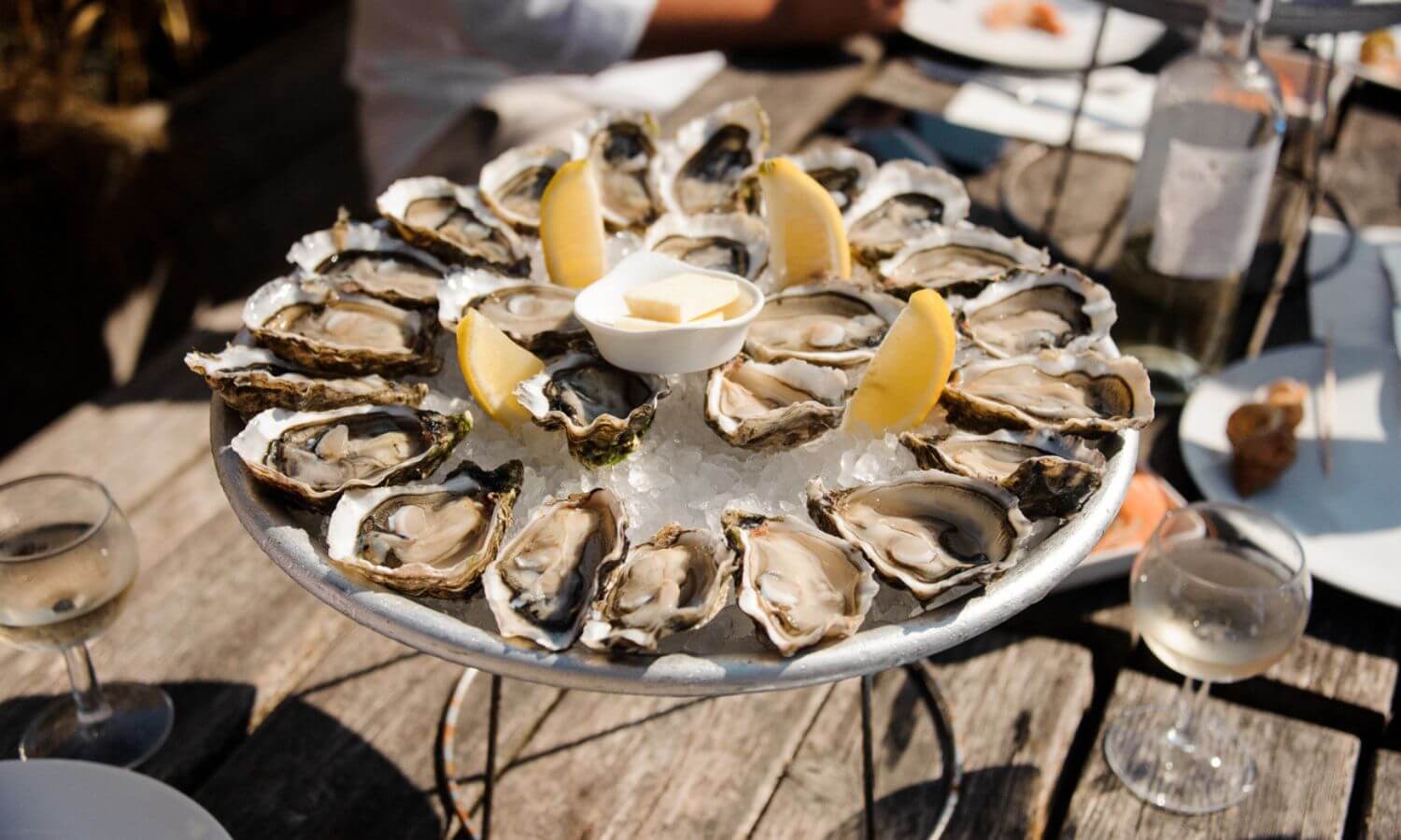 A platter of fresh Oysters at the Festival de las Conchas y el Vino Nuevo in Ensenada