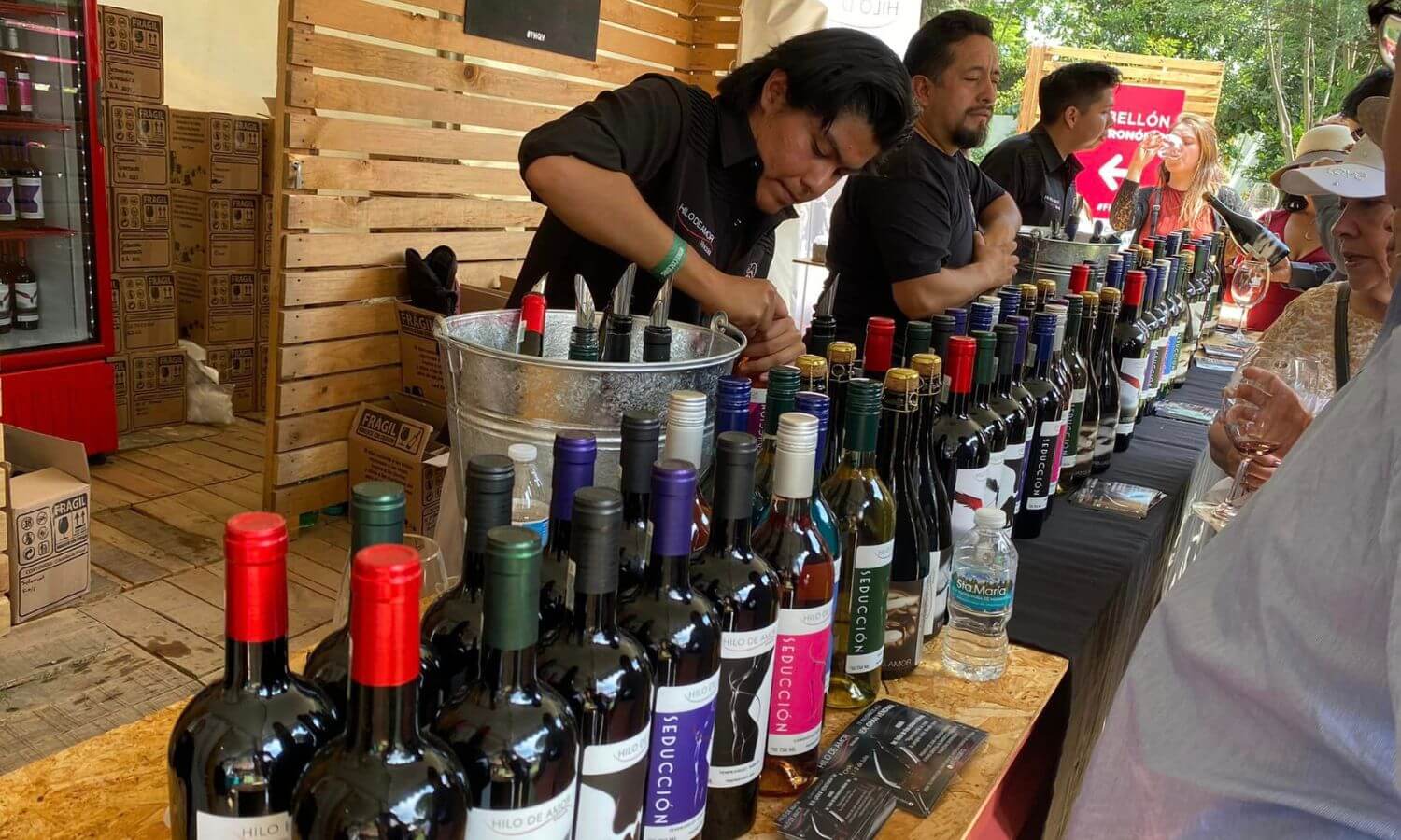 Many bottles of wine being displayed ready for tasting at the wine and cheese festival in Tequisquiapan.