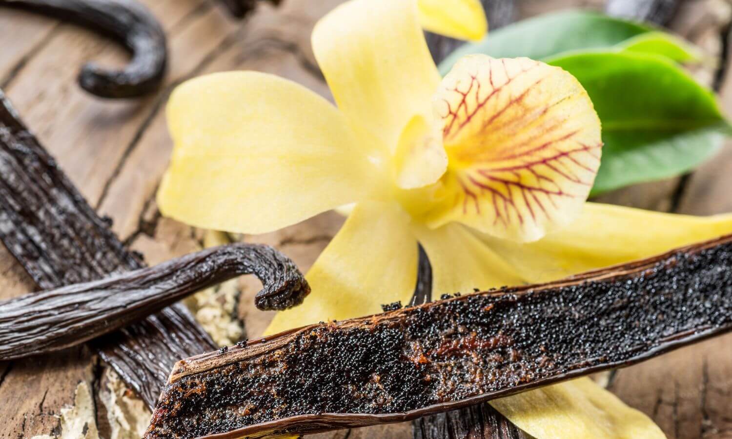 Opened vanilla pods displayed at the Feria de Vainilla in Papantla, Veracruz