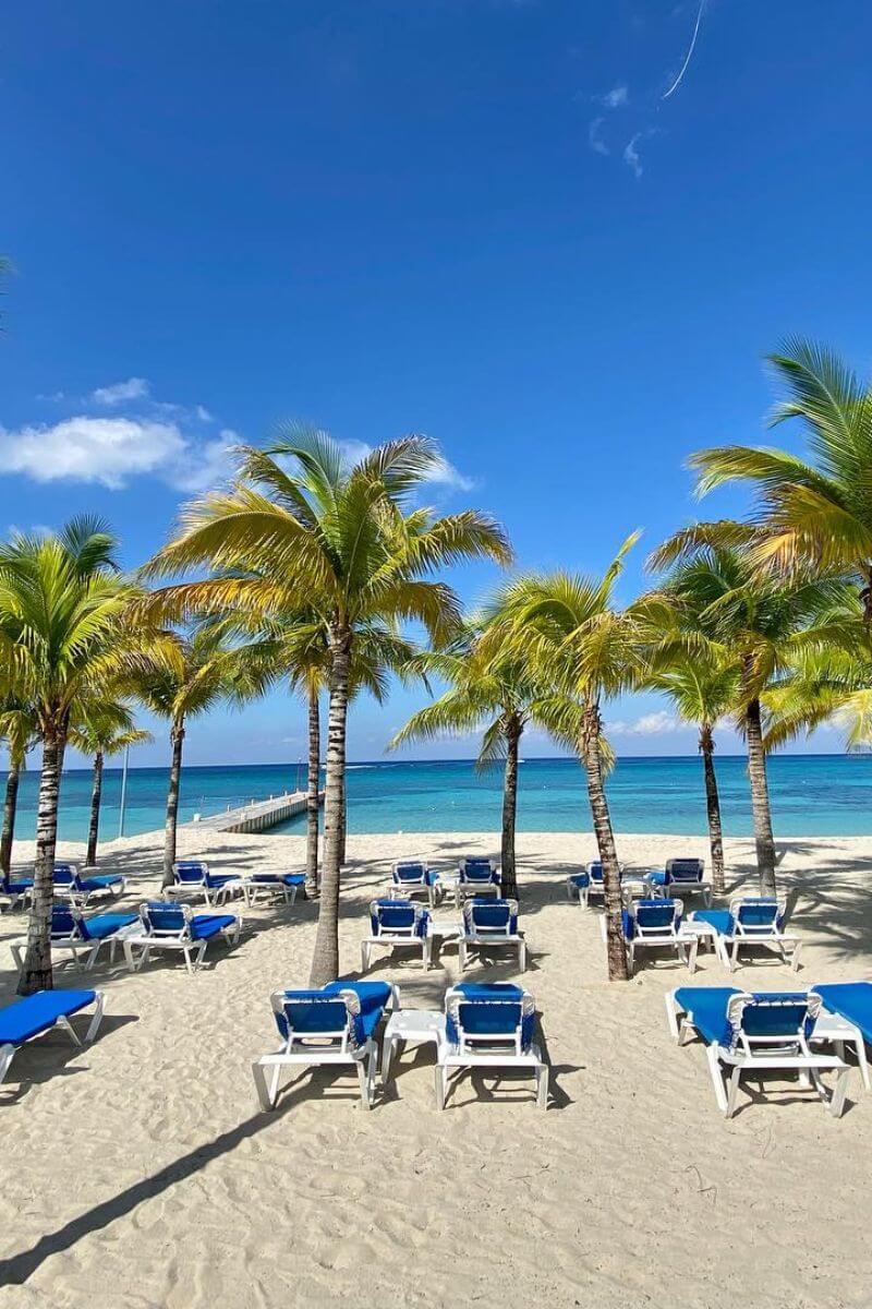 Sunbeds and palm trees on the beach at Allegro in Cozumel