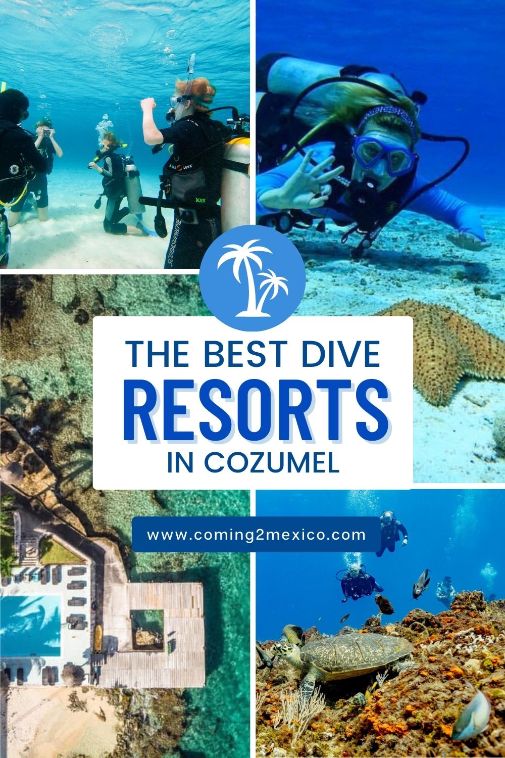 Best Dive Resorts in Cozumel pin