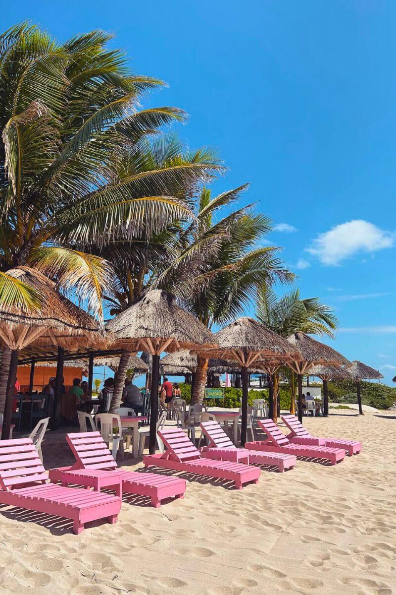 Pink loungers under palapas on the beach at Punta Morena.