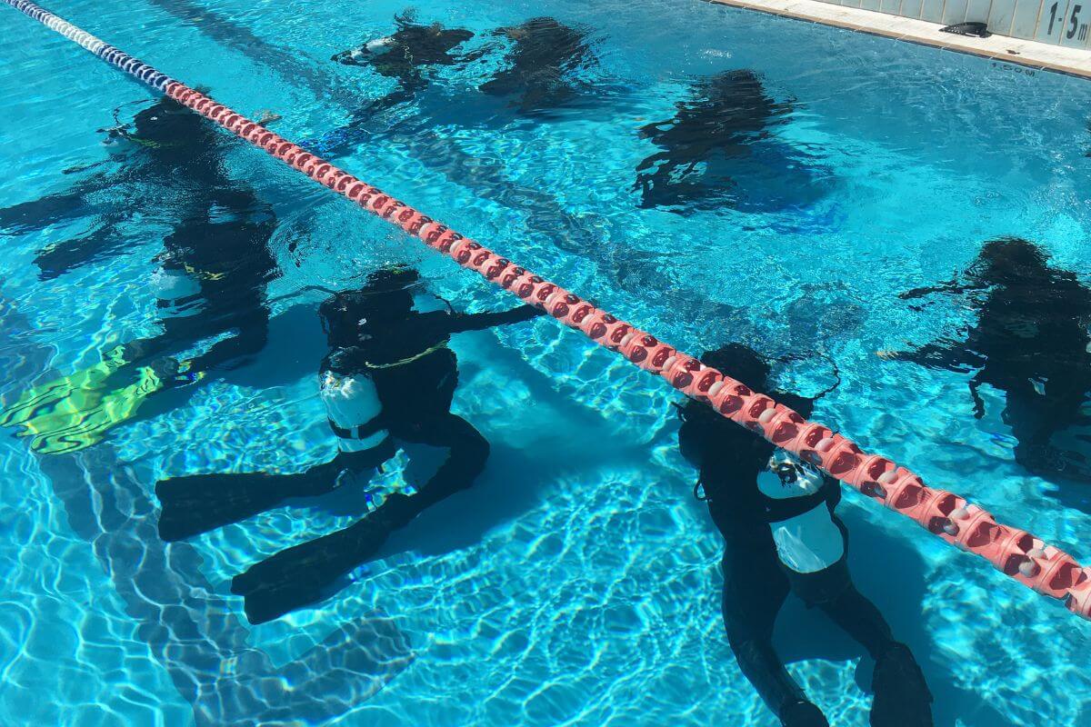 A group of 8 divers in a pool training for the SCUBA PADI Certification