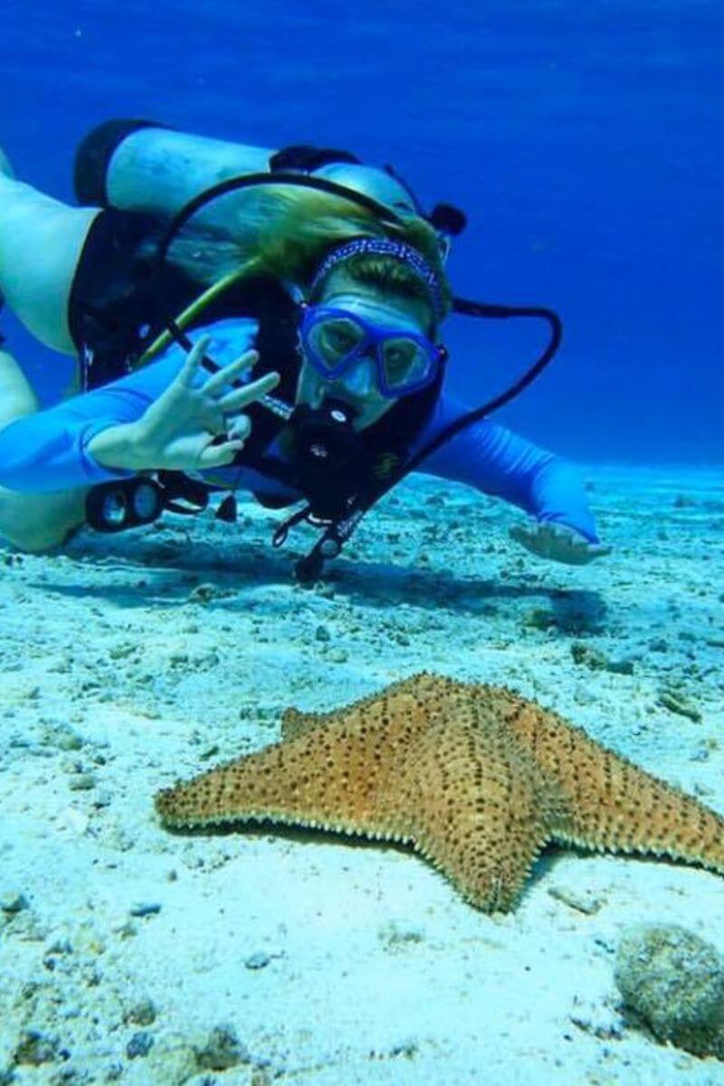 A scuba diver looking at a starfish at Arrecifes de Cozumel Marine Park.