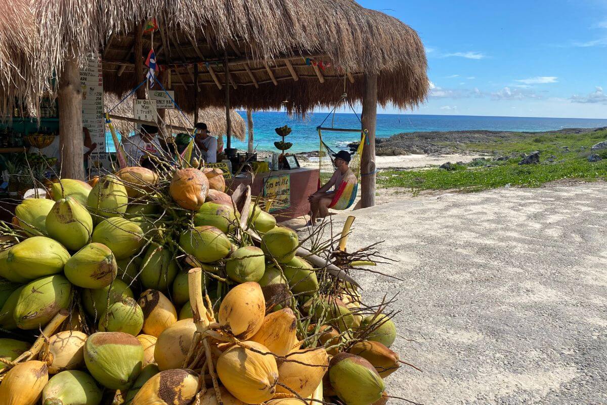 Coconuts at Beach Bar in Cozumel