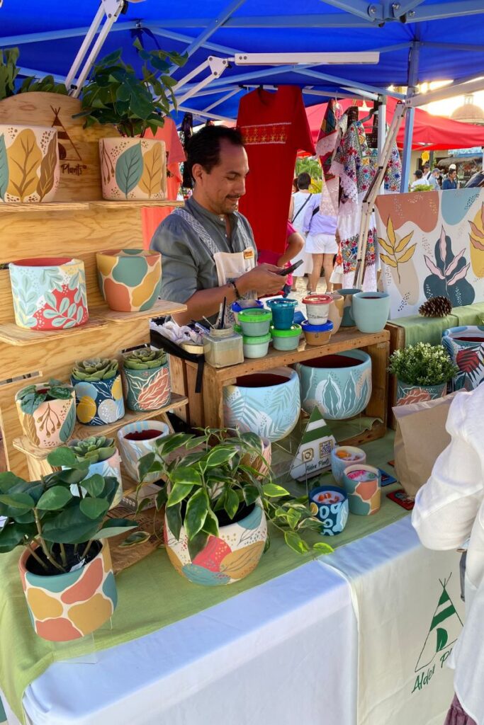 Plants in colorful pots being sold on a market stand at the Food festival in Puerto Morelos.