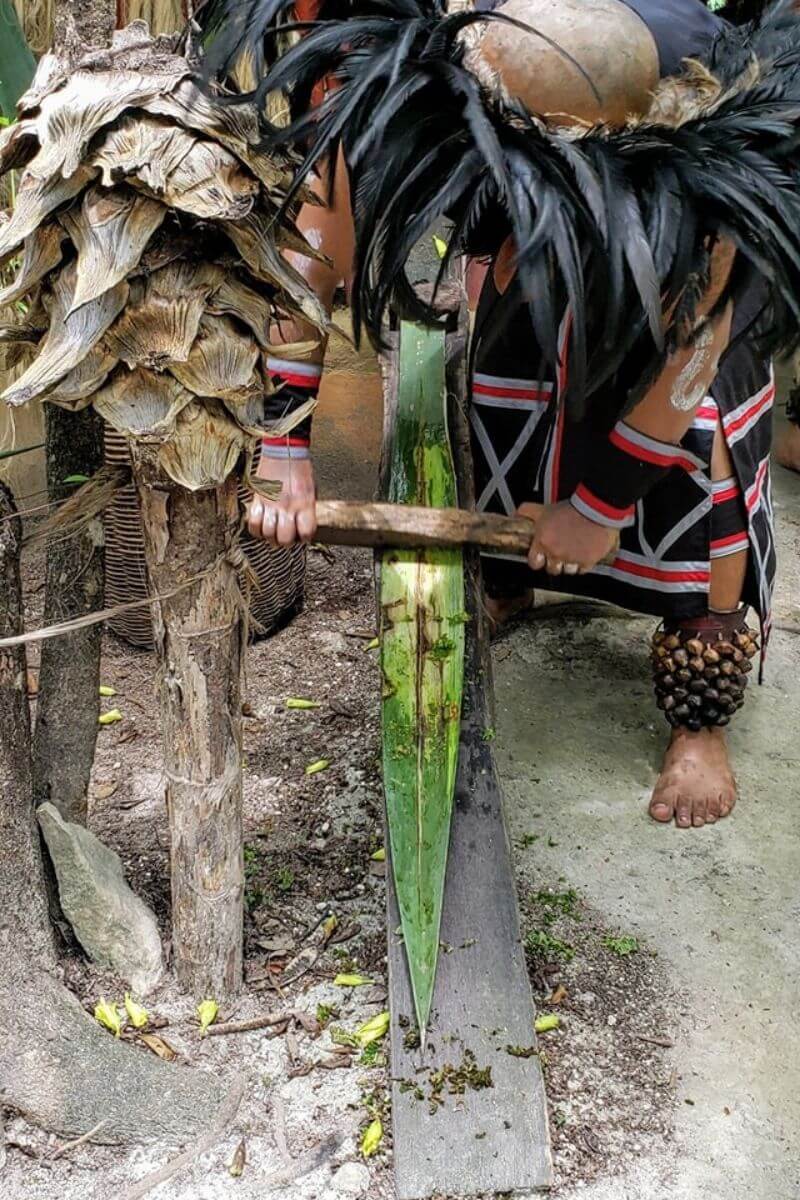 A man in traditional Mayan dress making sisal from the native leaves.