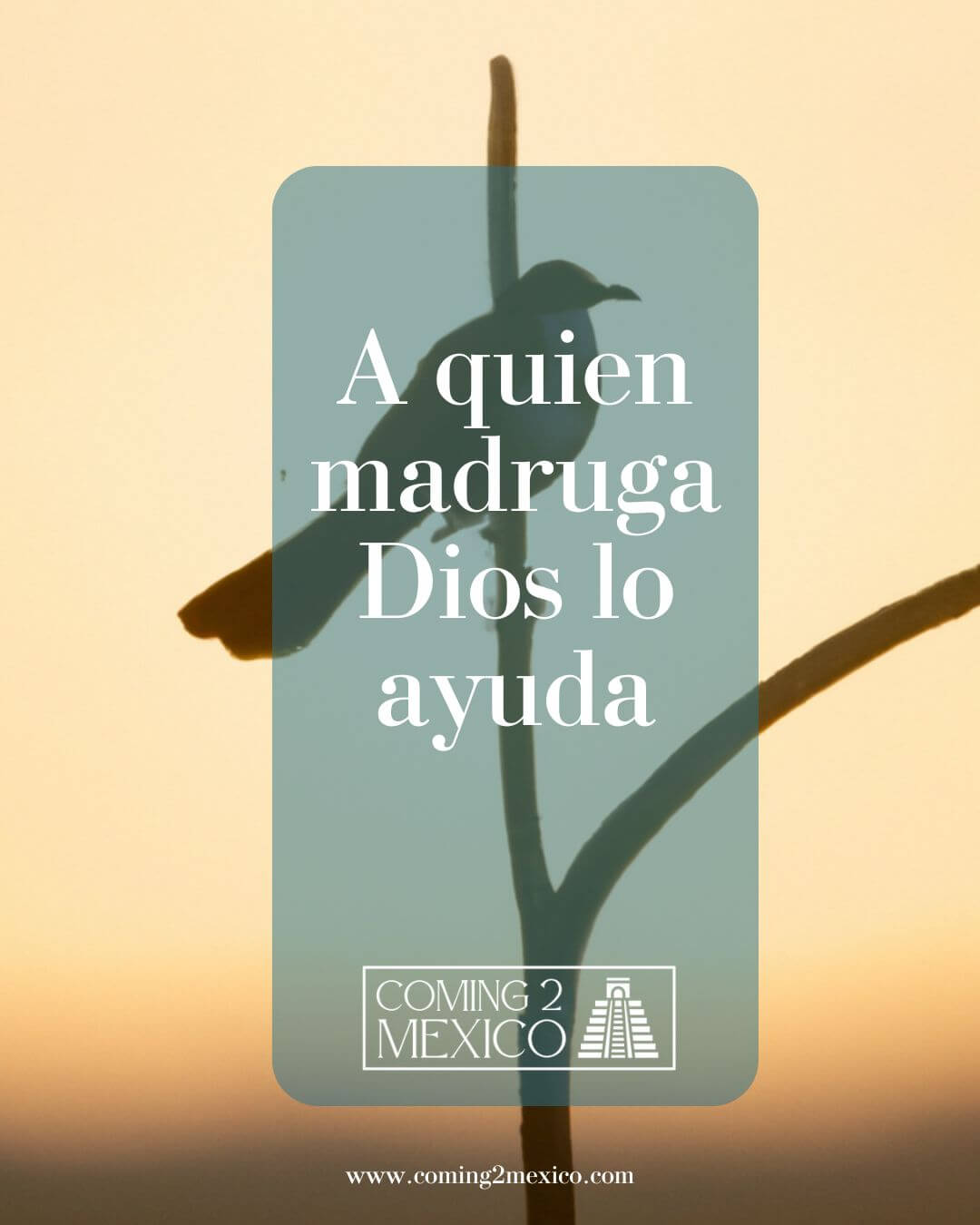 A quien madruga Dios lo ayuda - God helps the one who wakes up early