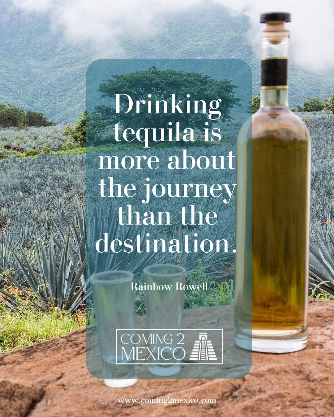 Drinking tequila is more about the journey than the destination.