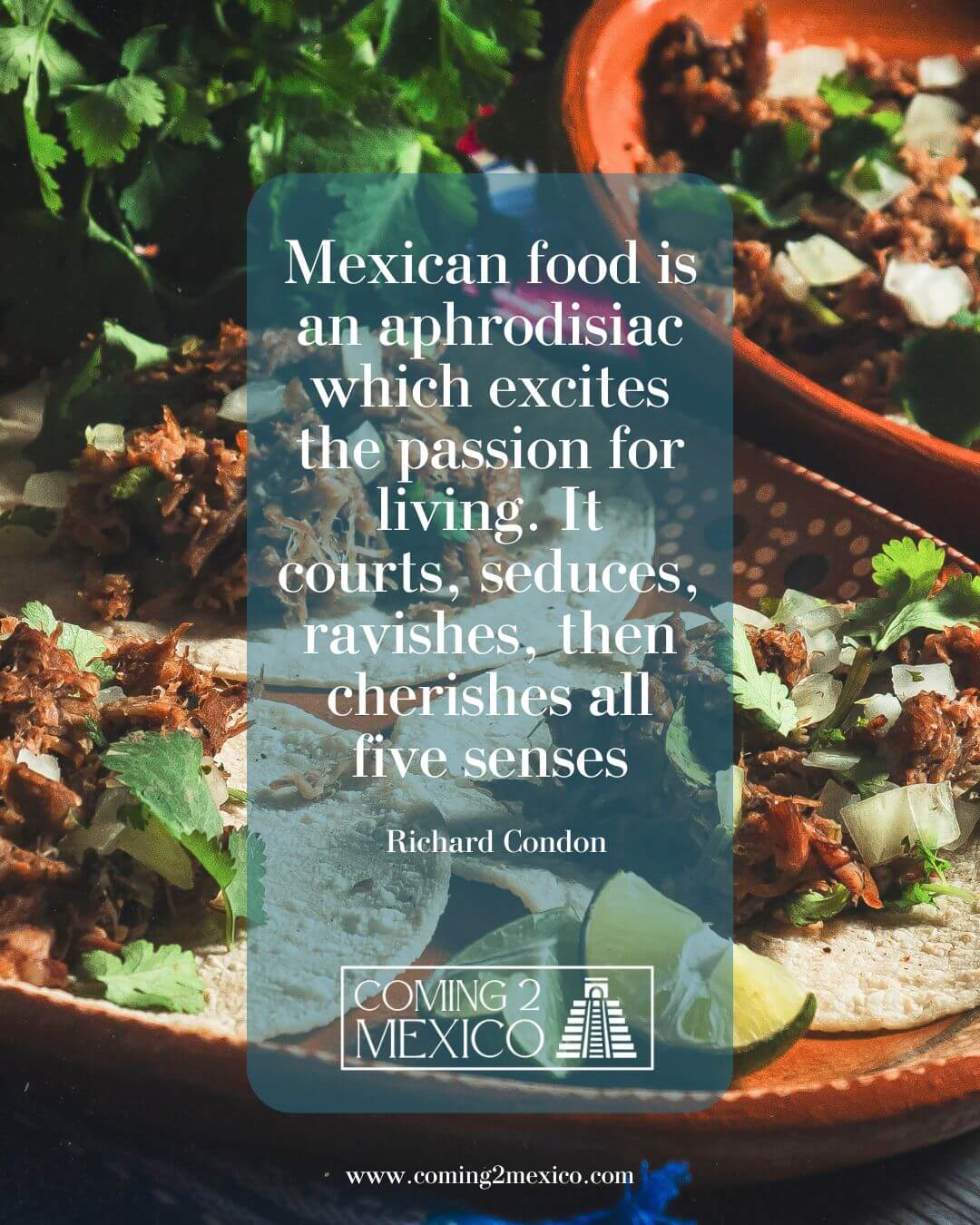 Mexican food is an aphrodisiac which excites the passion for living. It courts, seduces, ravishes, then cherishes all five senses...
