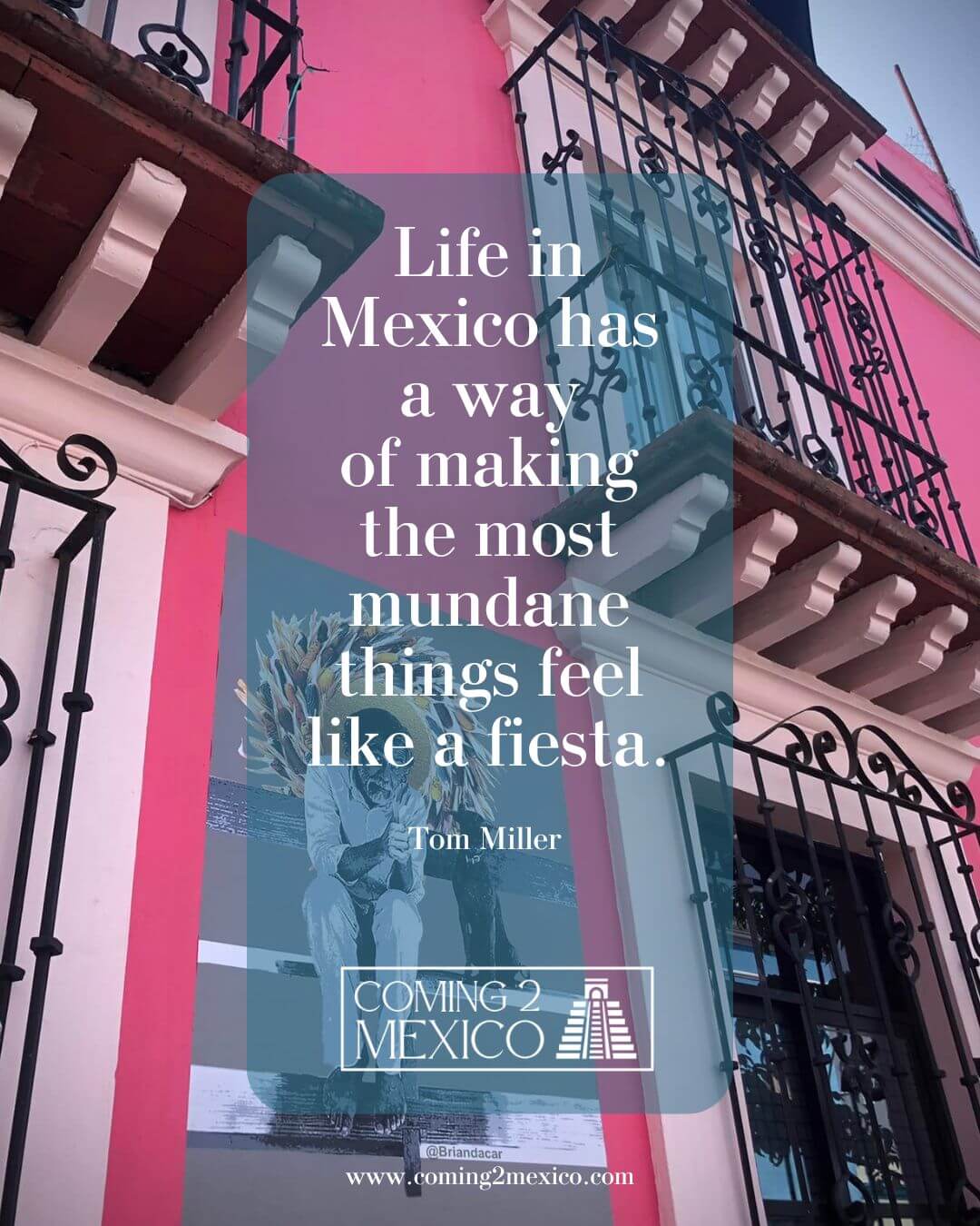 Life in Mexico has a way of making the most mundane things feel like a fiesta. - Tom Miller