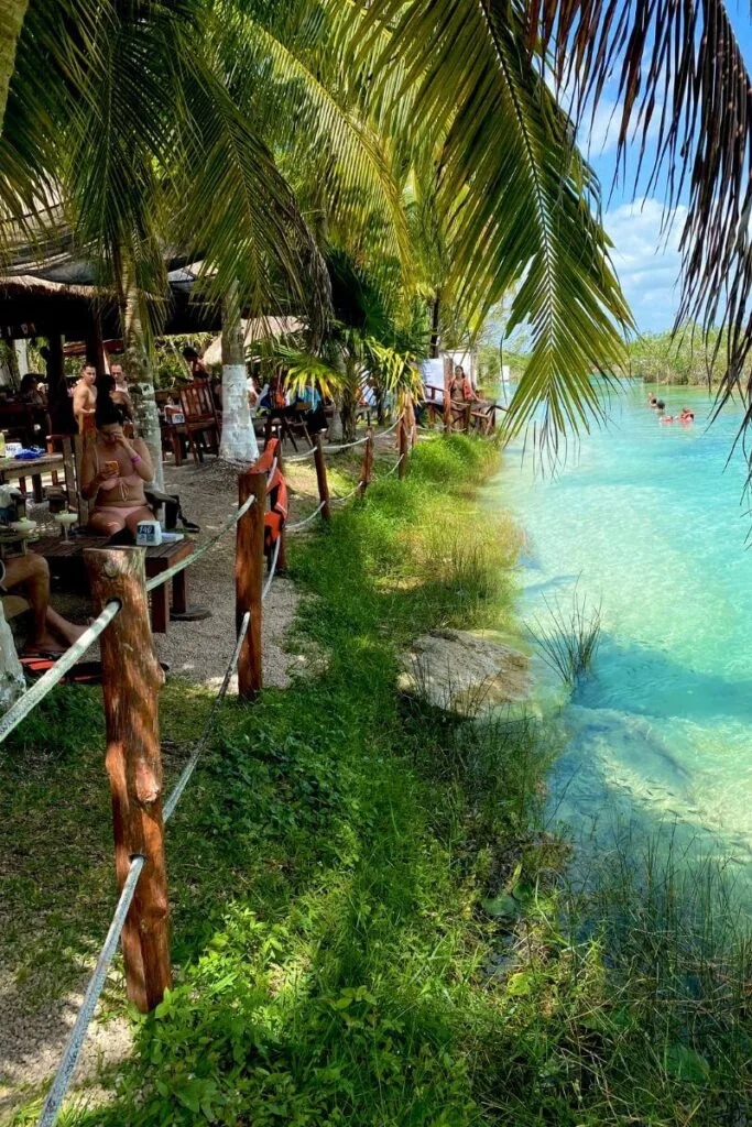 Floating Through Paradise: An Afternoon At Los Rapidos Bacalar 11 The shoreline at los rapidos bacalar