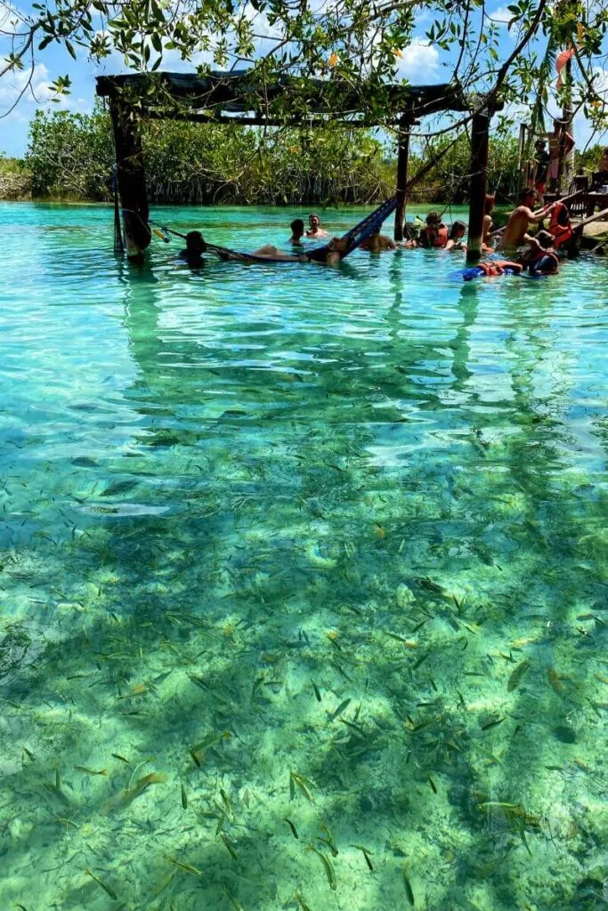 Floating Through Paradise: An Afternoon At Los Rapidos Bacalar 1 Hammocks in the water at los rapidos bacalar