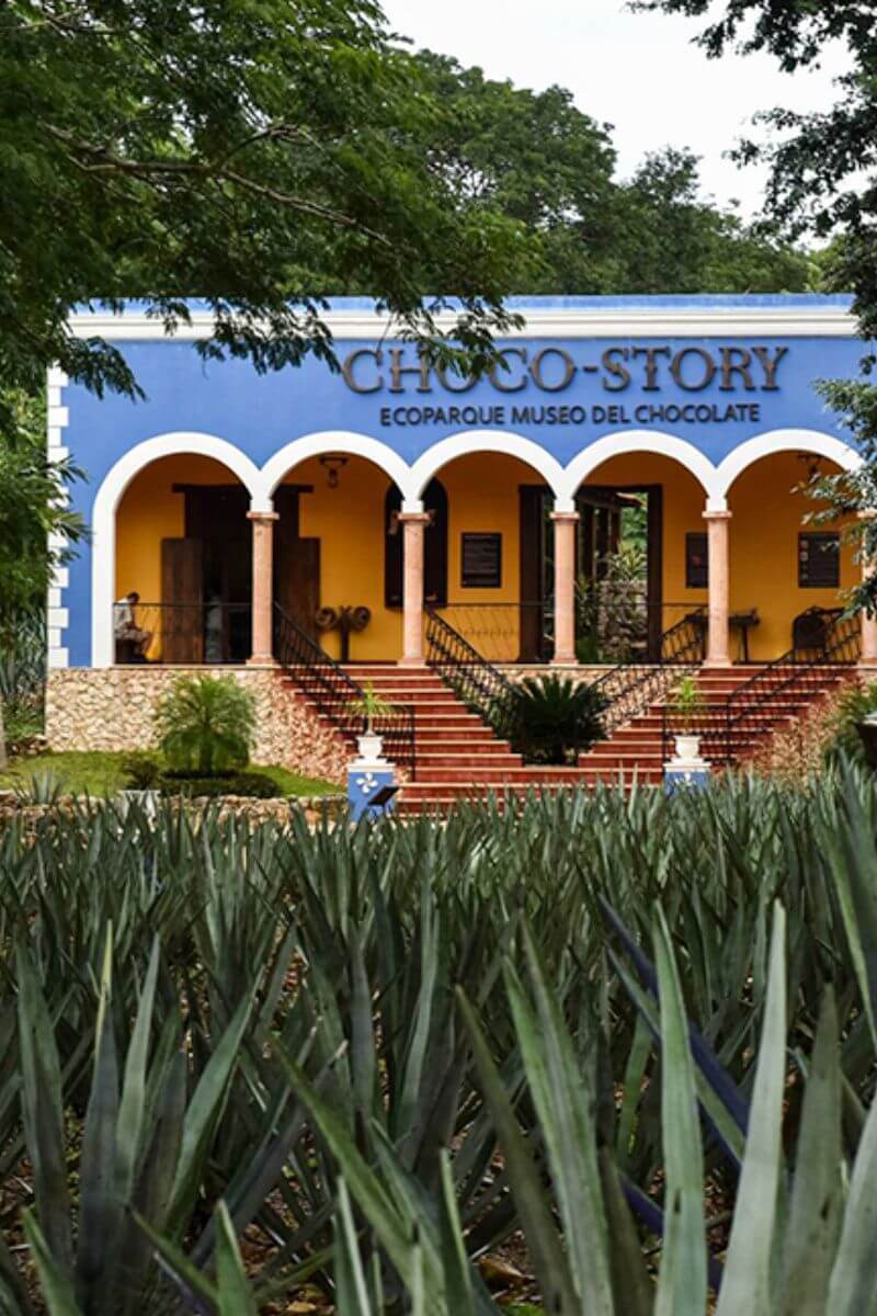 Chocolate In Mexico Chocolate museum in uxmal