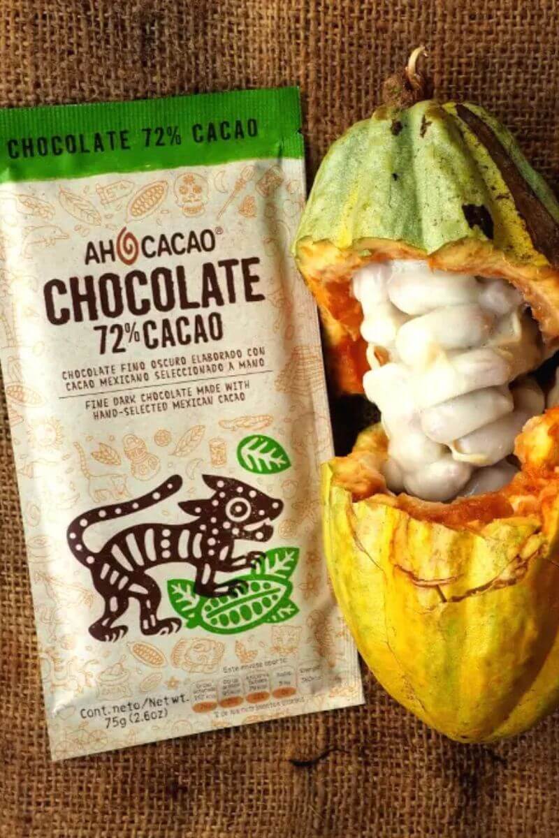 Chocolate In Mexico Chocolate from ahcacao and a cacao pod