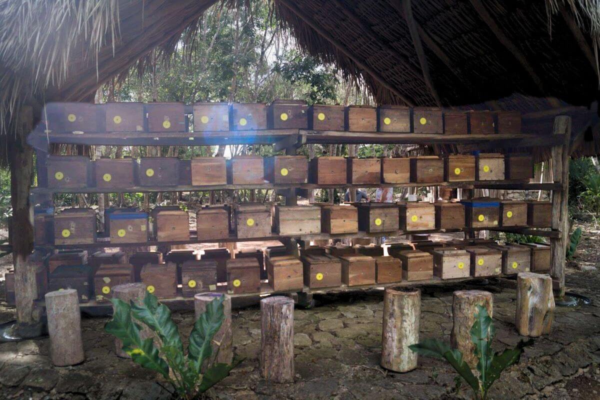Melipona Bee House Modern melipona bee house